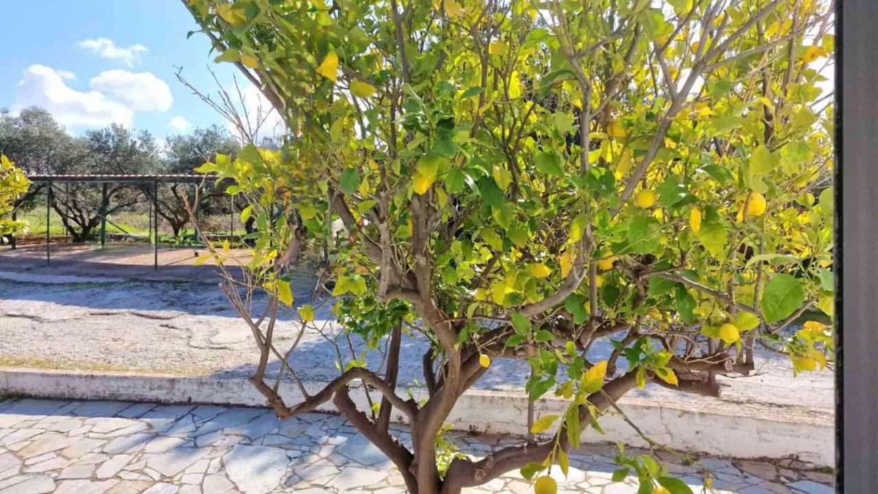 Chorafakia My Cretan Village By Go4Sea المظهر الخارجي الصورة